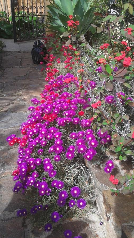 Bed And Breakfast Su Niu Quartucciu Eksteriør bilde